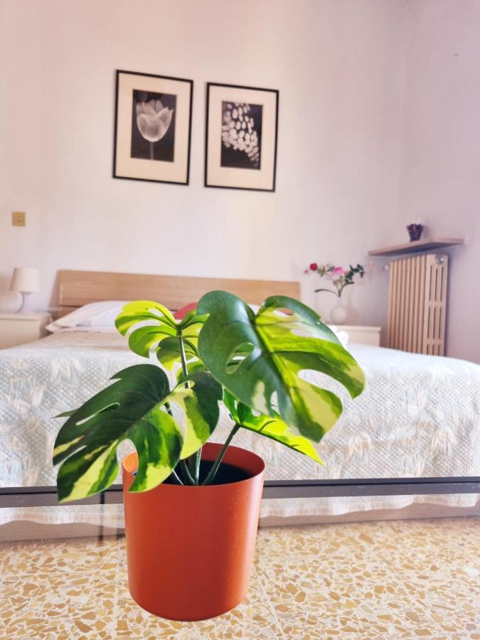 Prime Guest House Pisa Eksteriør bilde